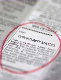 Scam Career Employment Job Scams